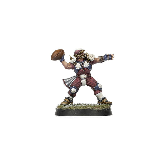 Old World Alliance Blood Bowl Team – The Middenheim Maulers