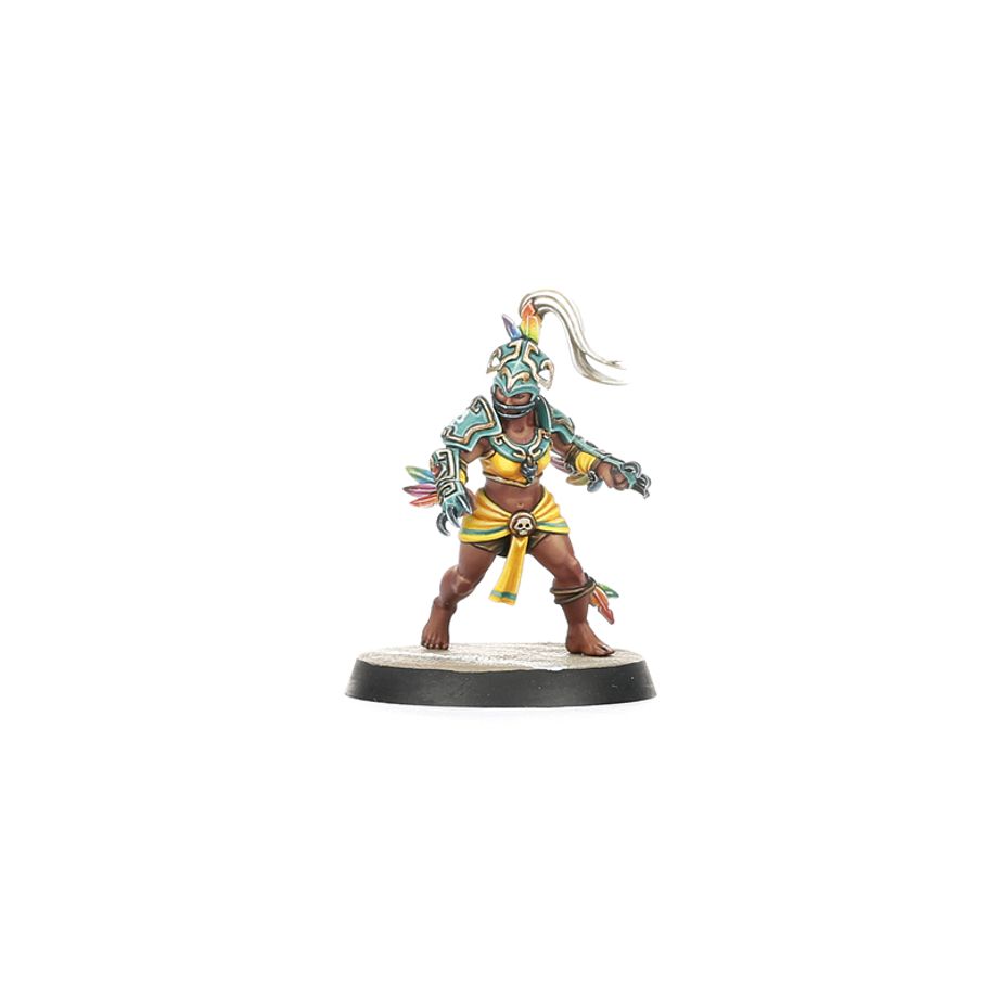 Amazon Blood Bowl Team: Kara Temple Harpies