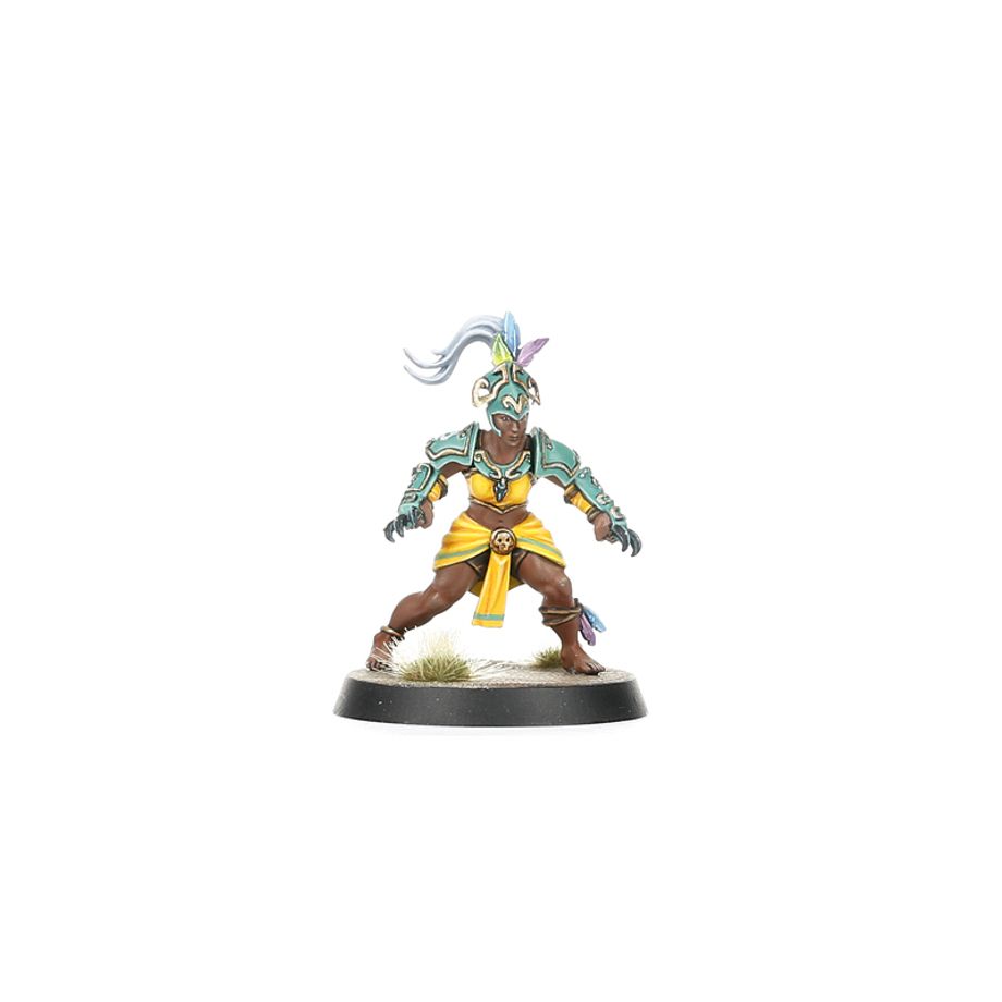 Amazon Blood Bowl Team: Kara Temple Harpies