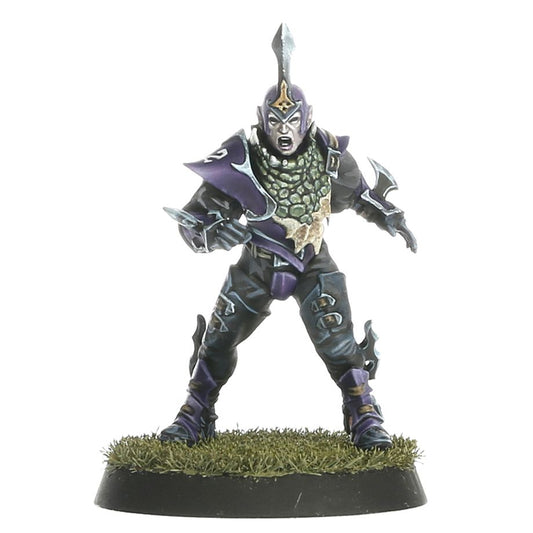 Dark Elf Blood Bowl Team – Naggaroth Nightmares