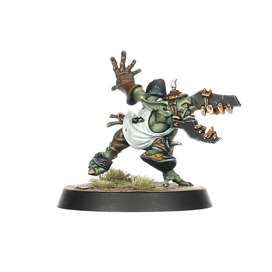 Black Orc Blood Bowl Team: The Thunder Valley Greenskins