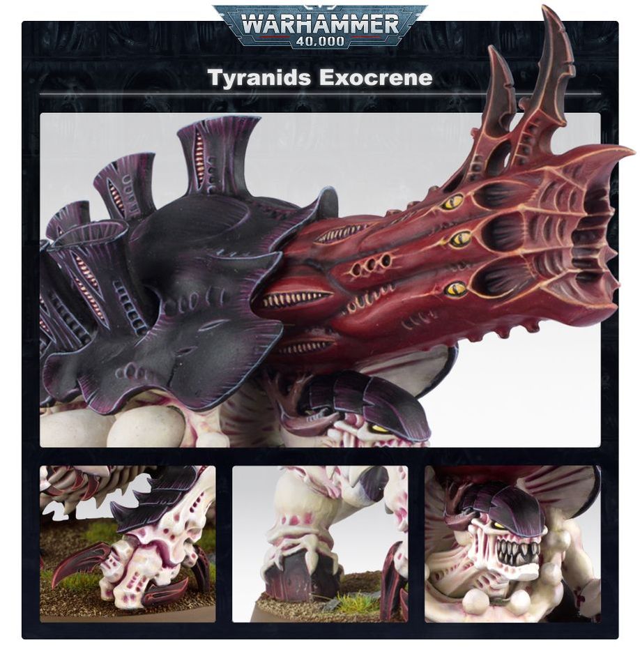Haruspex/Exocrine