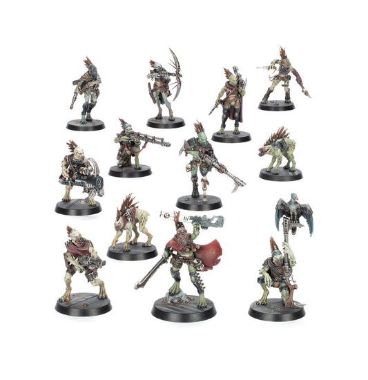 Combat Patrol: Kroot