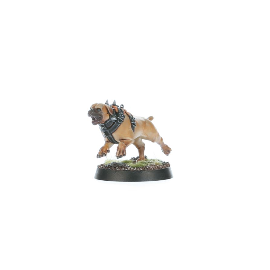 Regiment of Renown: Ven Denst's Hounds