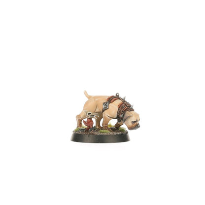 Regiment of Renown: Ven Denst's Hounds
