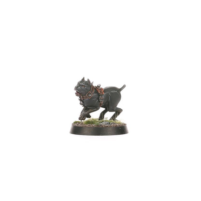 Regiment of Renown: Ven Denst's Hounds