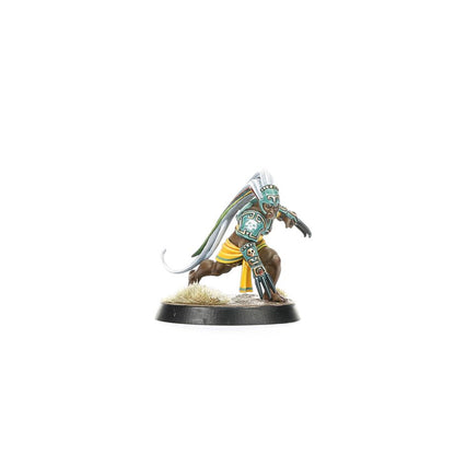Amazon Blood Bowl Team: Kara Temple Harpies