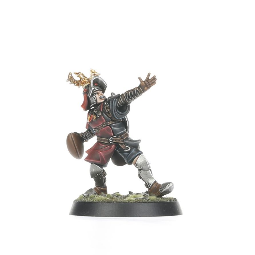 Bretonnian Blood Bowl Team: The Brionne Barons