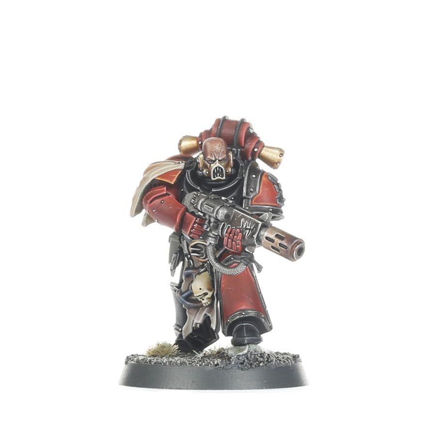 Red Corsairs Raiders