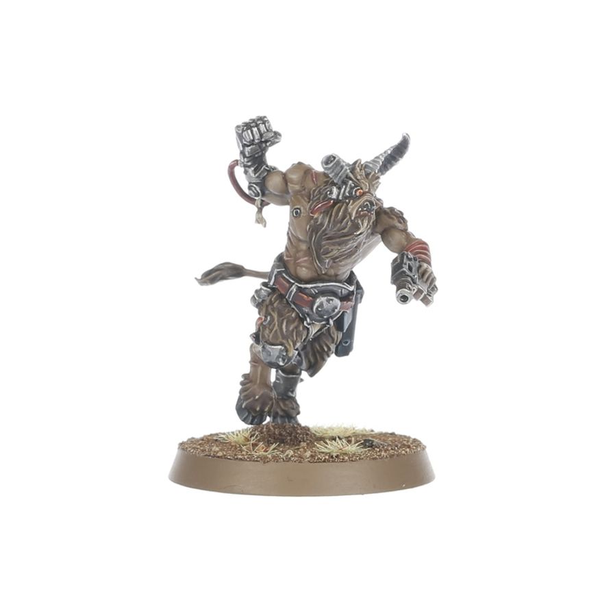 Fellgor Beastmen
