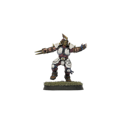 Old World Alliance Blood Bowl Team – The Middenheim Maulers
