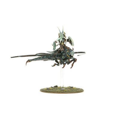 Spiterider Lancers