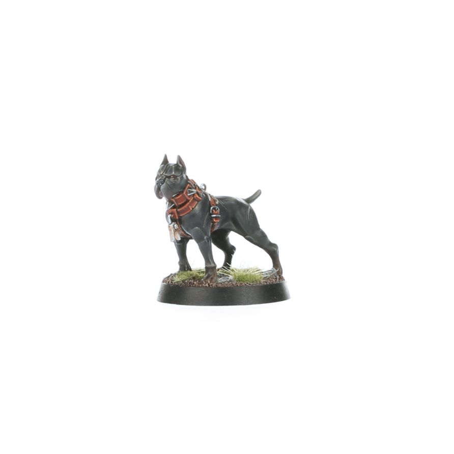 Regiment of Renown: Ven Denst's Hounds