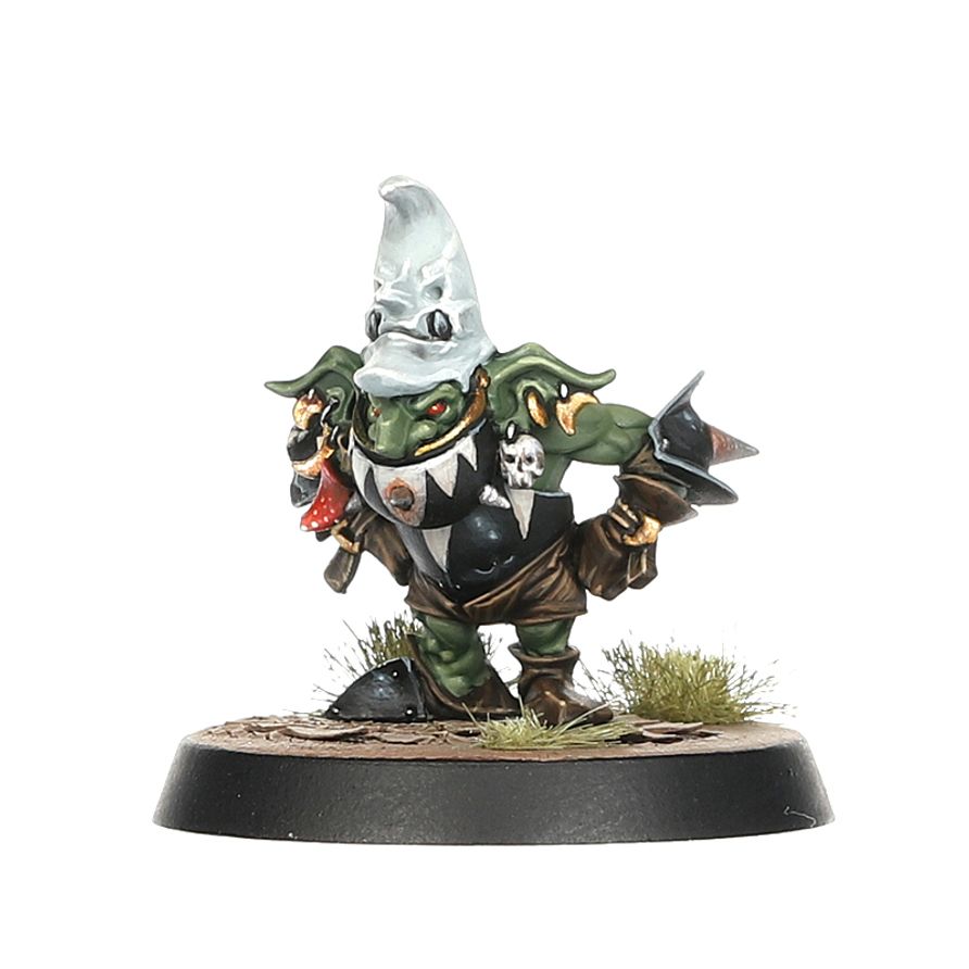 Black Orc Blood Bowl Team: The Thunder Valley Greenskins