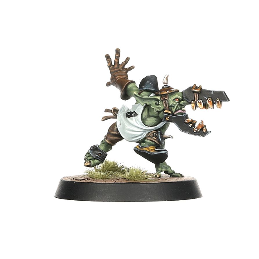 Black Orc Blood Bowl Team: The Thunder Valley Greenskins
