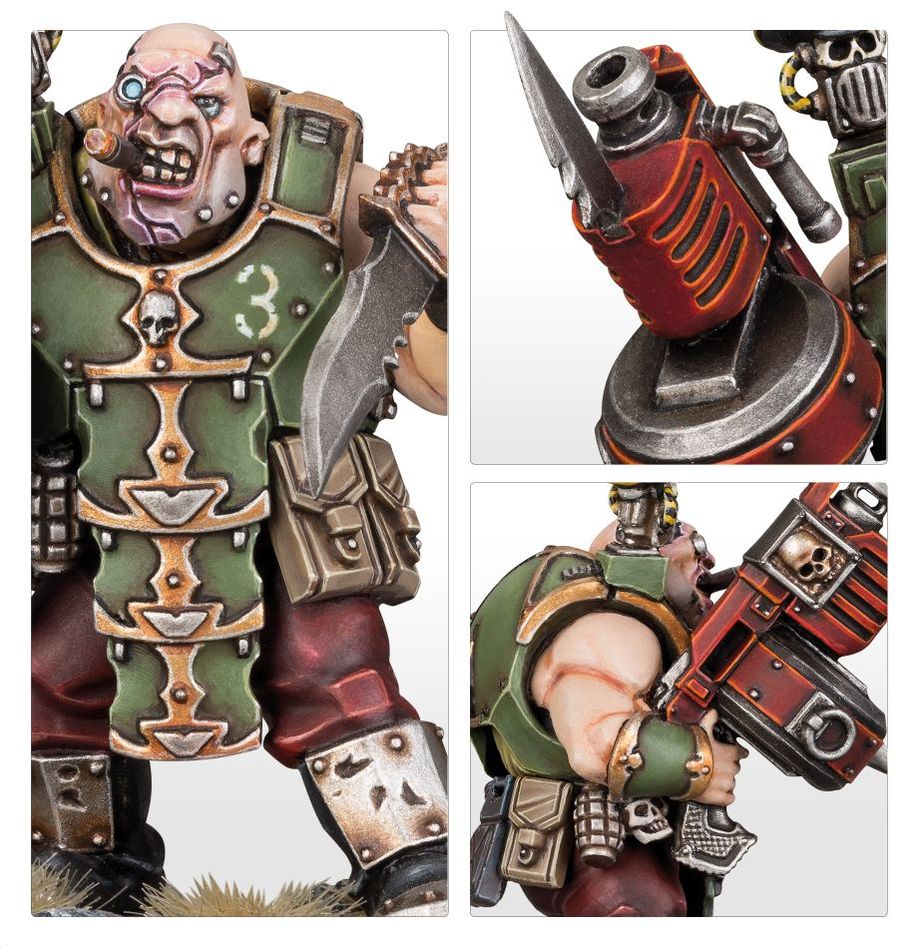Bullgryns / Ogryns