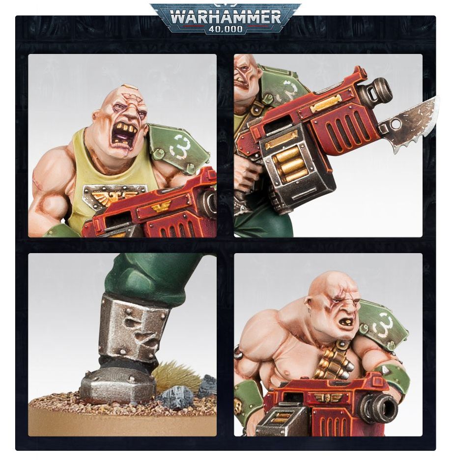 Bullgryns / Ogryns
