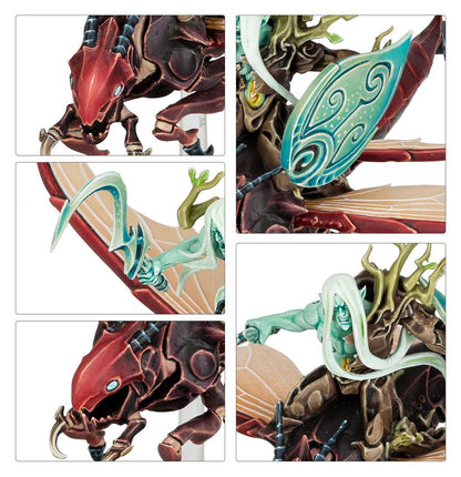 Spearhead: Sylvaneth – Spitewing Flight